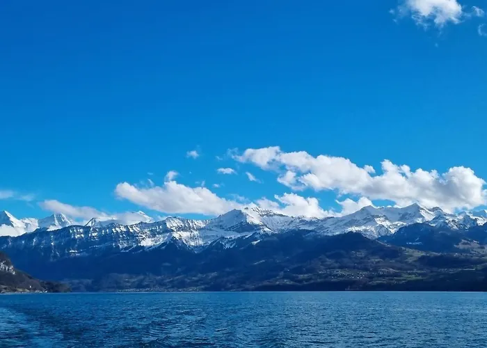 Apartment Heidi Spiez